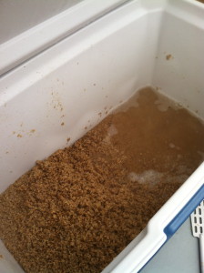 Here are the grains that have been steeped in the mash-tun. The hot water has pulled out the fermentable sugars out and will be dried into the brew pot.