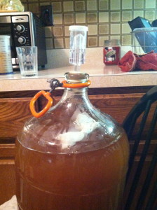The hops have been added and the air lock has been placed on the carboy. This will keep the air out but allow the gas to exit.